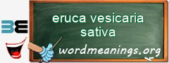 WordMeaning blackboard for eruca vesicaria sativa